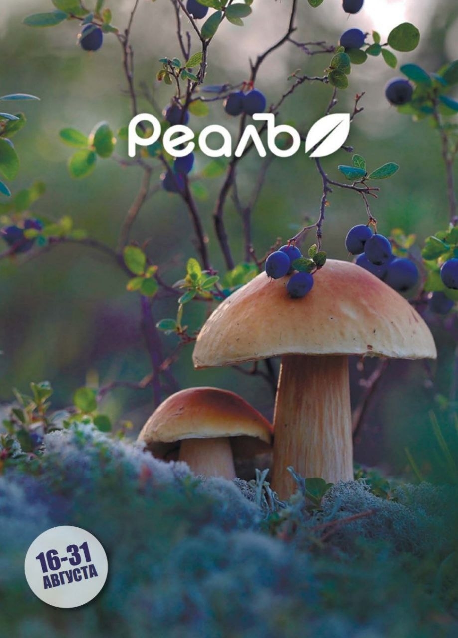 Каталог Ашан 